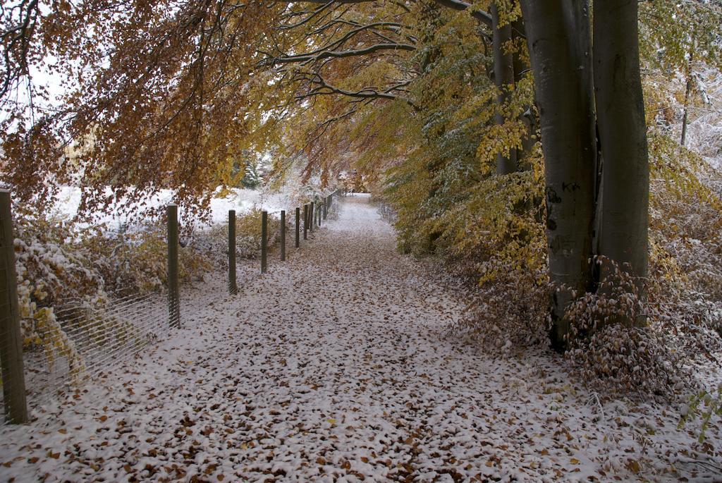 Gasthof Jaegerheim Birgland ภายนอก รูปภาพ