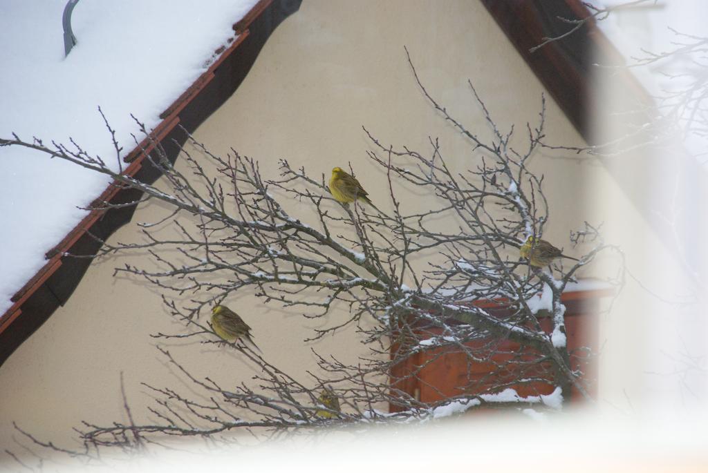 Gasthof Jaegerheim Birgland ภายนอก รูปภาพ